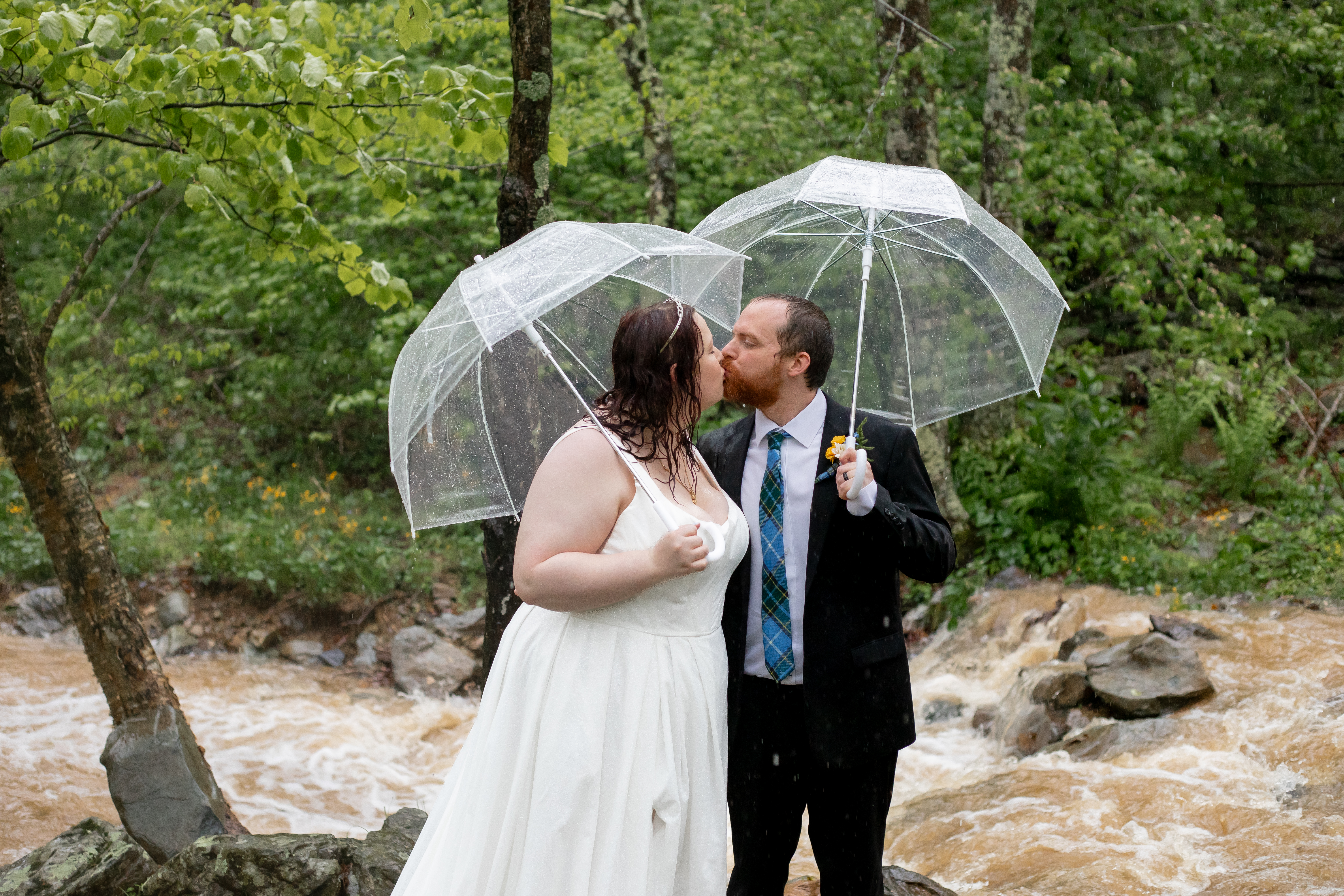 Couple kissing in the rain with clear umbrellas at Dark Hollow Falls, rushing spring water behind them