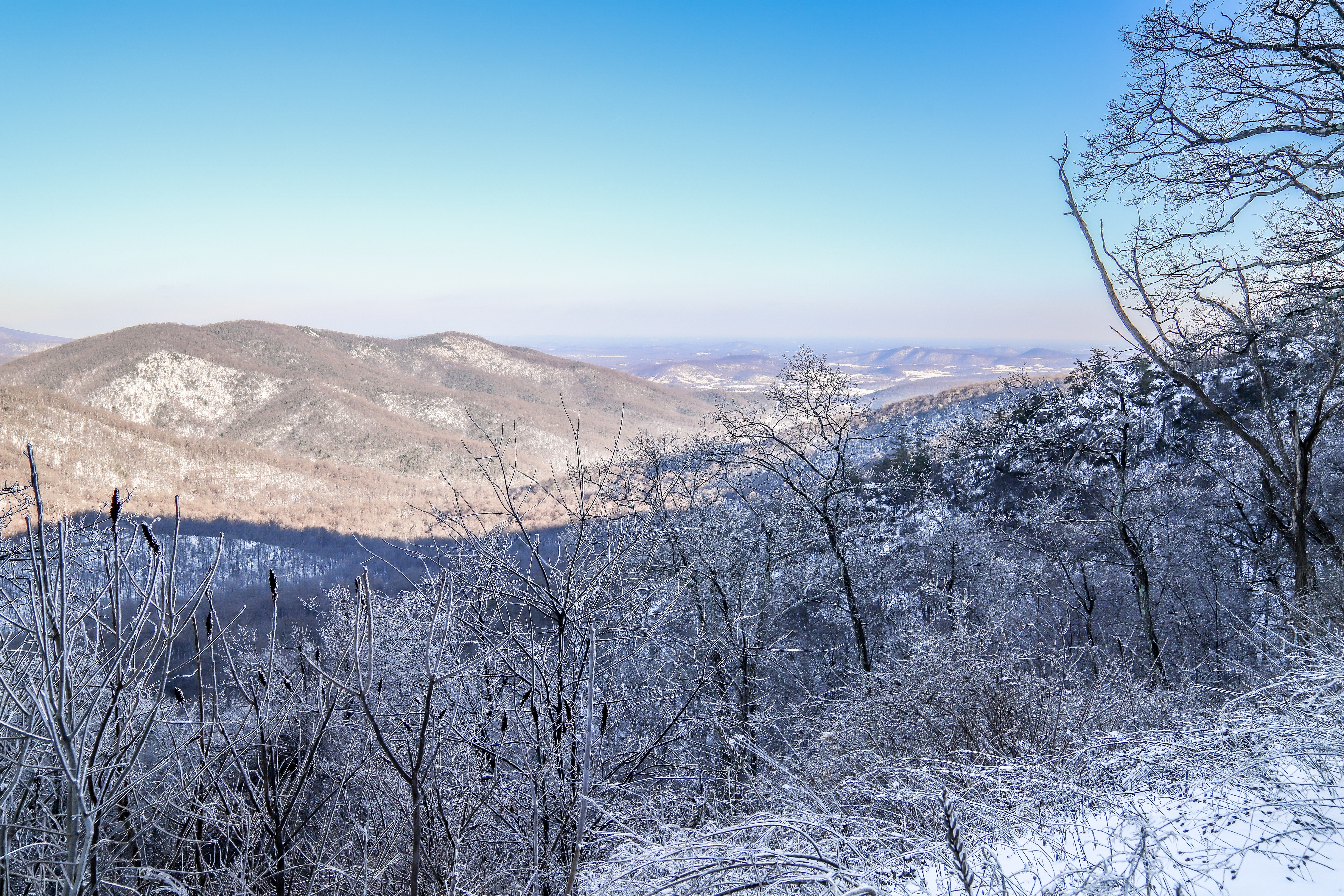 Frost-covered trees and snow-dusted Shenandoah Valley viewed from a mountain overlook under a clear blue winter sky